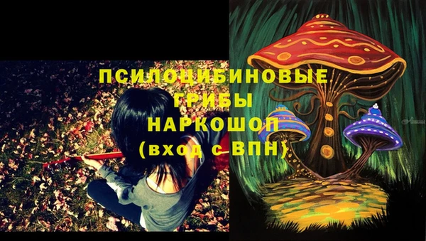 ПСИЛОЦИБИНОВЫЕ ГРИБЫ Дмитров