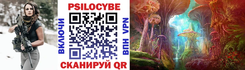 Псилоцибиновые грибы Cubensis Кизилюрт