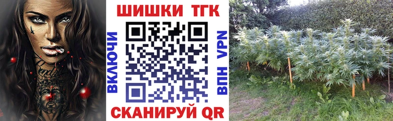 Бошки Шишки MAZAR Купить где Кизилюрт